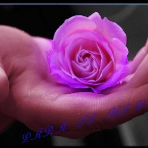 Meet your Posher, Ruth